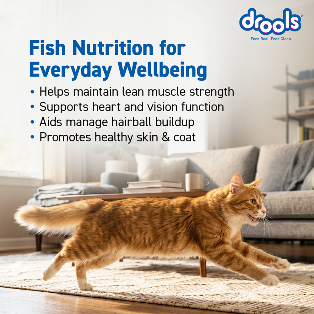 Drools Tuna & Salmon Adult Dry Cat Food image 5
