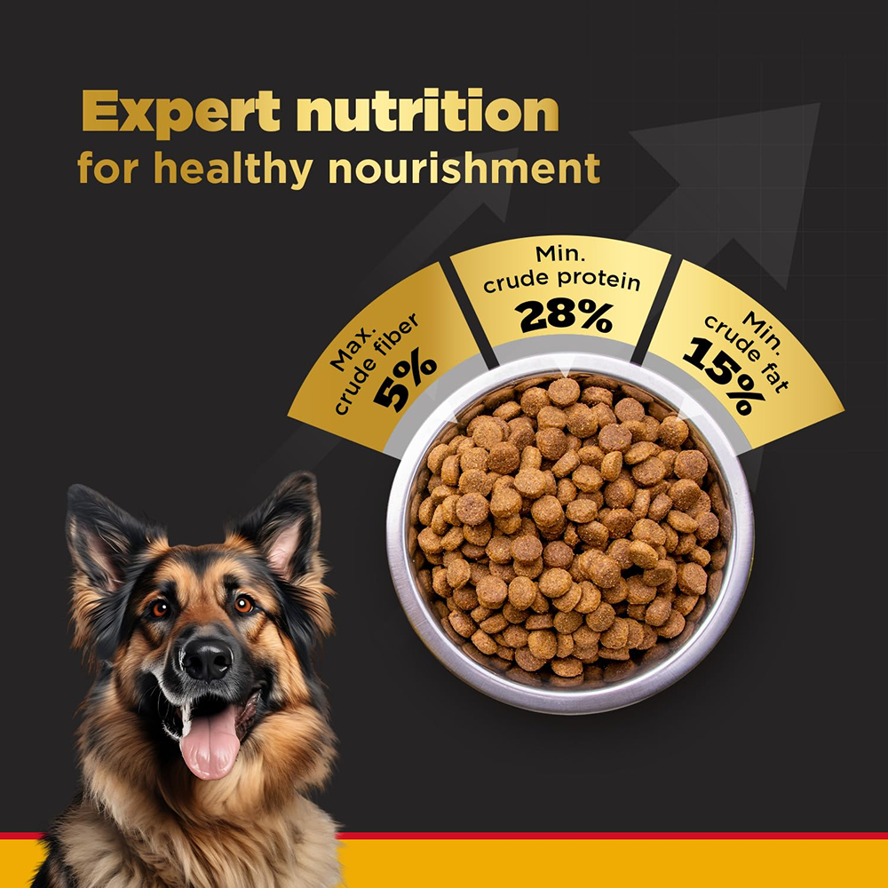 Pedigree PRO Active Adult Large Breed Dry Food, Pedigree Dentastix Oral Care Adult Dogs Treat Combo image 9