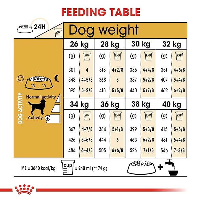 Royal Canin Labrador Retriever Adult Dog Dry Food image 6