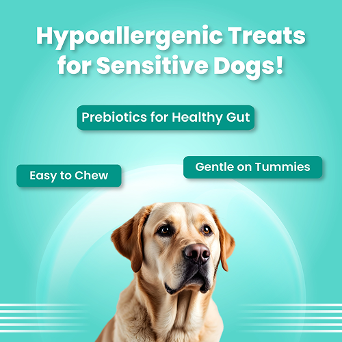 Bark Out Loud by Vivaldis Mini Fishes Grain Free & Hypoallergenic Dog Treats image 4