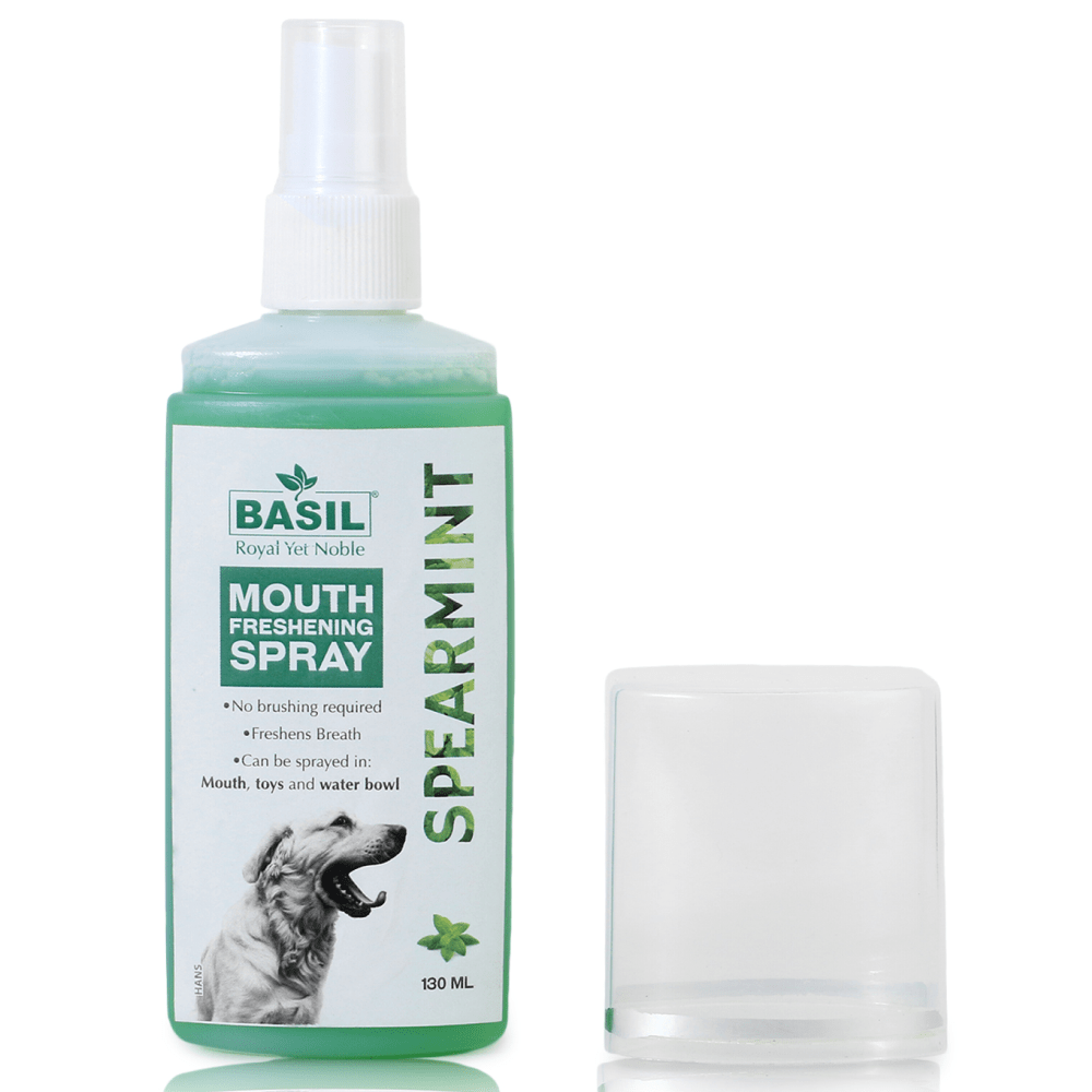 Basil Spearmint Mouth Spray for Dogs image 2