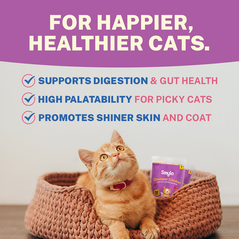 Smylo Adult Chicken & Liver, Pomegranate, Fresh & No-Preservative Wet Cat Food image 6