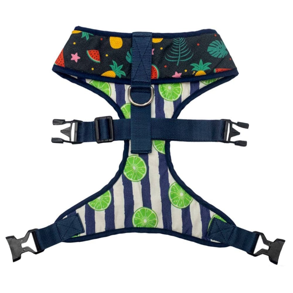Pet And Parents Fresh Fruit Reversible Harness for Dogs image 3