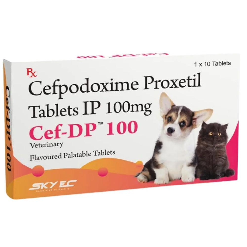 Skyec Cef DP 100mg (Cefpodoxime Proxetil) Tablets for Dogs and Cats