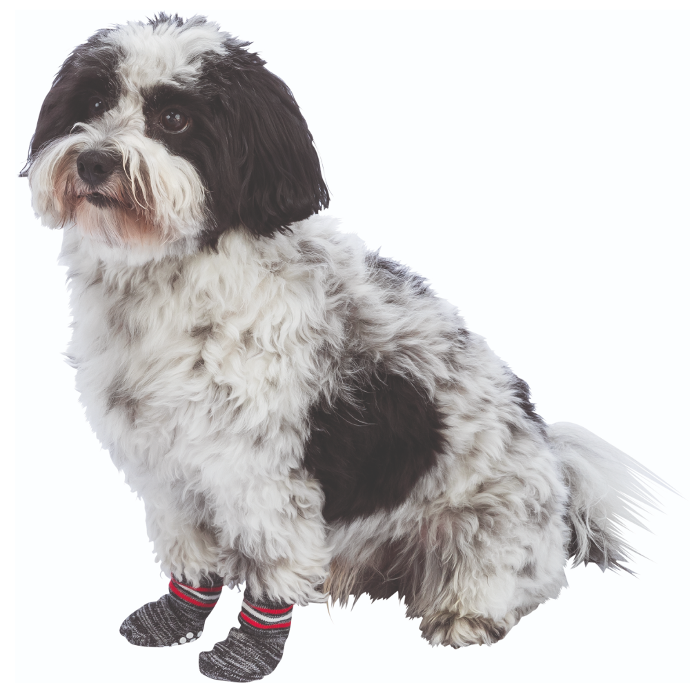 Trixie Non Slip Socks for Dogs (Grey, Set of 4) image 4