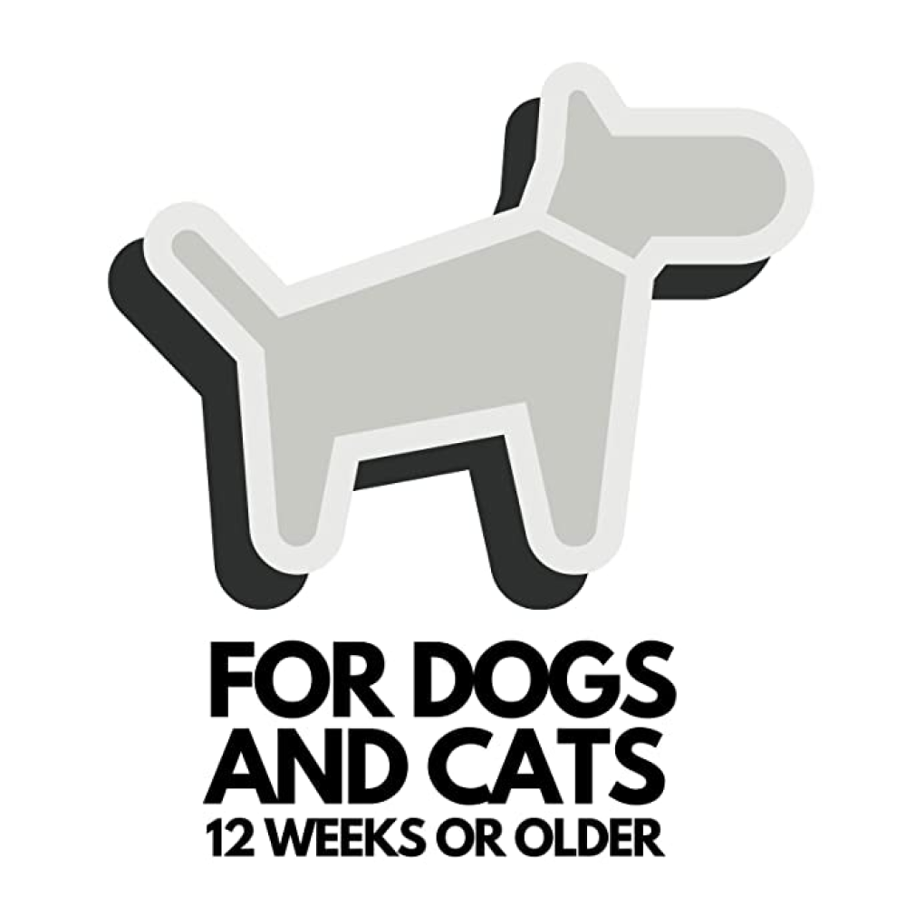 DOGZ & DUDEZ Coconut Shampoo for Dogs and Cats image 8