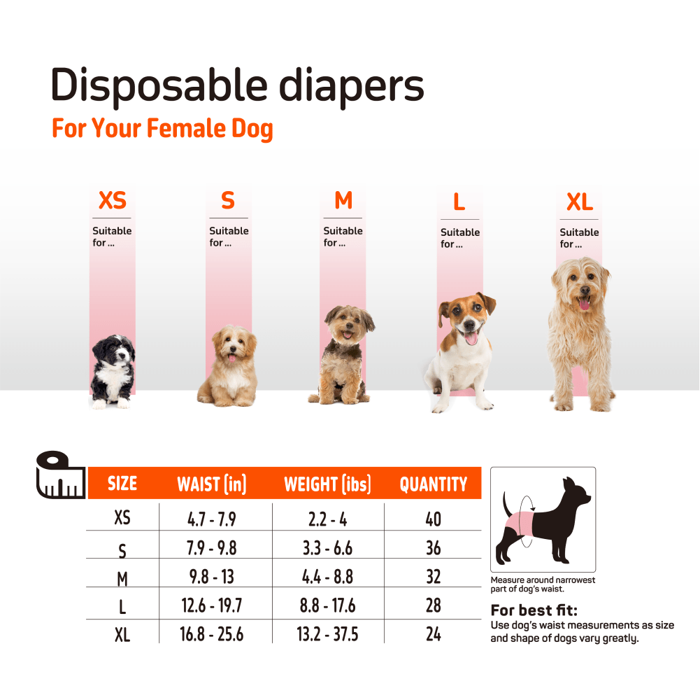 Barkbutler x Fofos Diaper for Male Dog (20x25cm) image 2