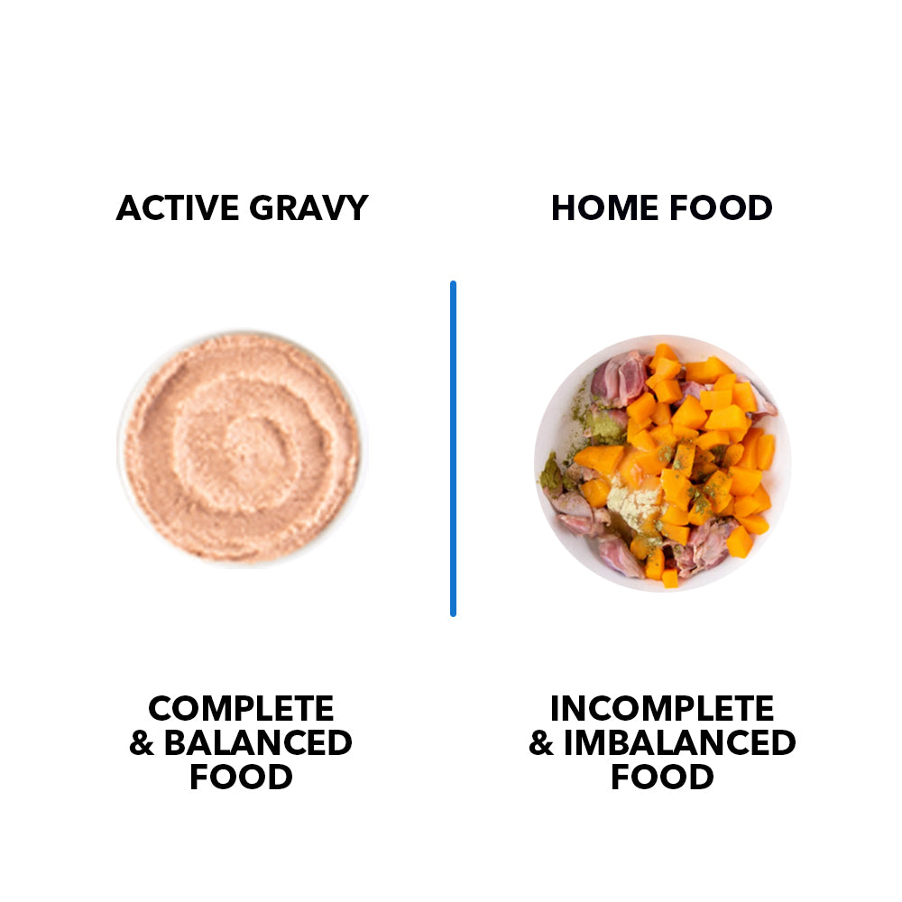 Active  Real Ocean Fish in Gravy Adult Cat Wet Food ( Buy 1 Get 1) image 2