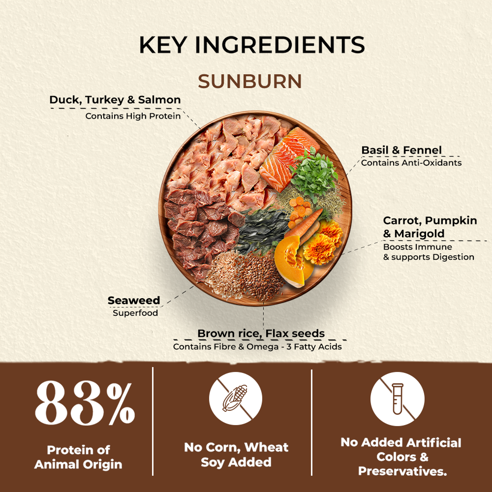 Bruno's Wild Essentials Sunburn Dog Dry Food image 2