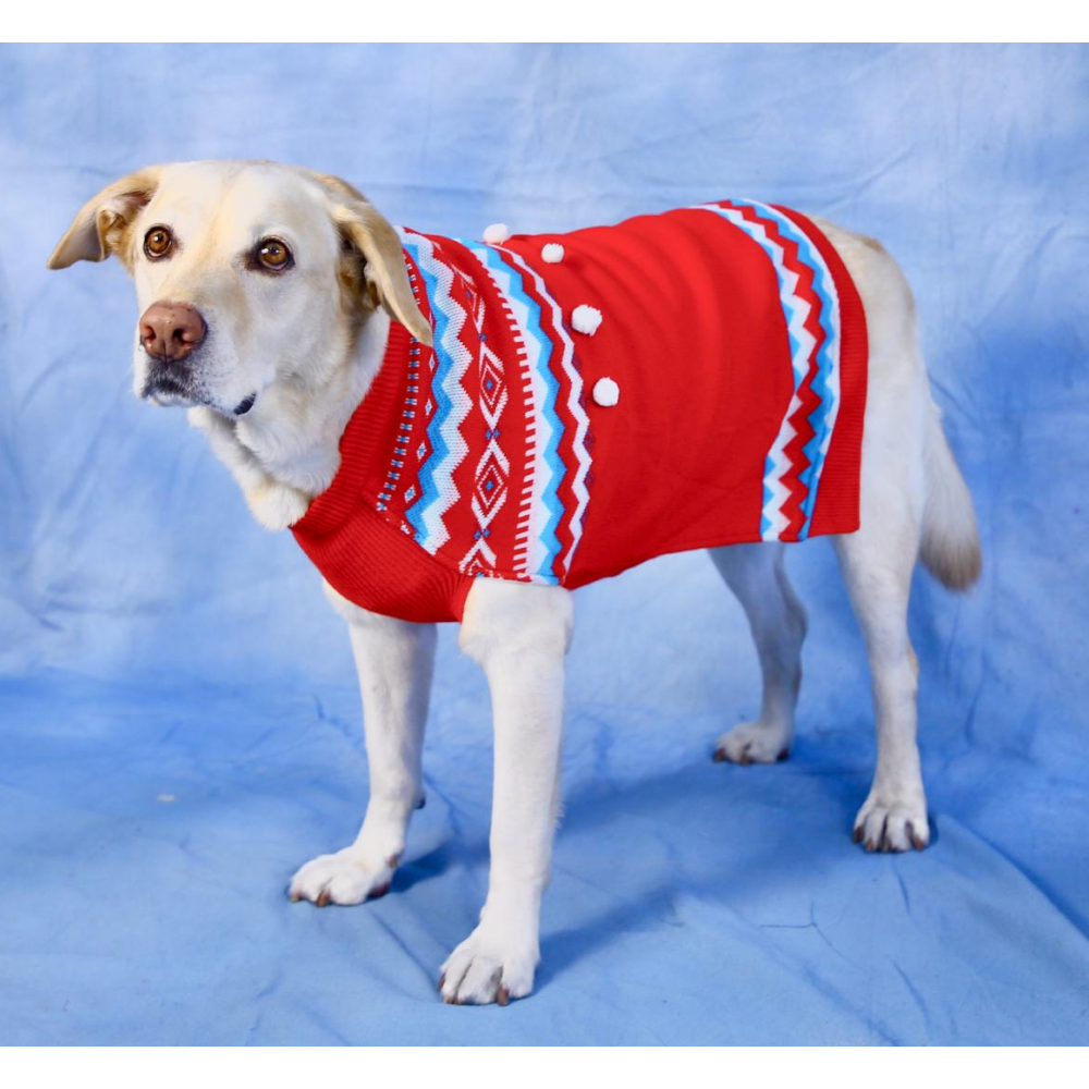 Dogobow Aztec Knit Sweater for Dogs and Cats (Red) (Get a Bow Free) image 3