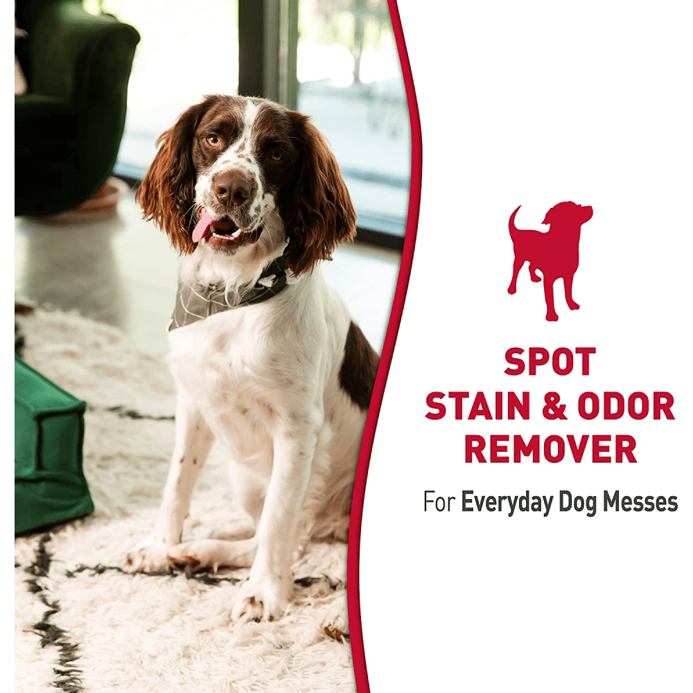 Nature's Miracle Stain and Odor Remover for Dogs image 9