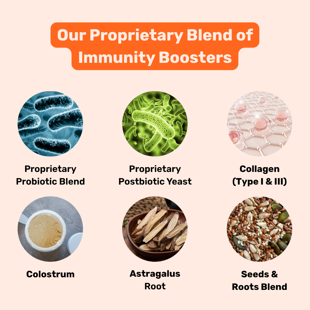 Absolut Pet Postbiotics to Boost Immunity Reduce Allergies & Improve Bioavailability Chews Dogs Treat image 2