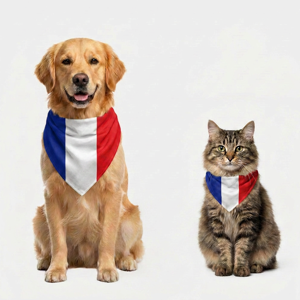 Skatrs France Flag Supporter Bandana for Pets & Pet Parents image 3