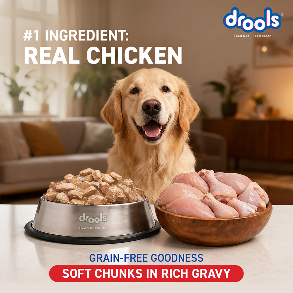 Drools Real Chicken & Chicken Liver Chunks in Gravy Adult Dog Wet Food image 7