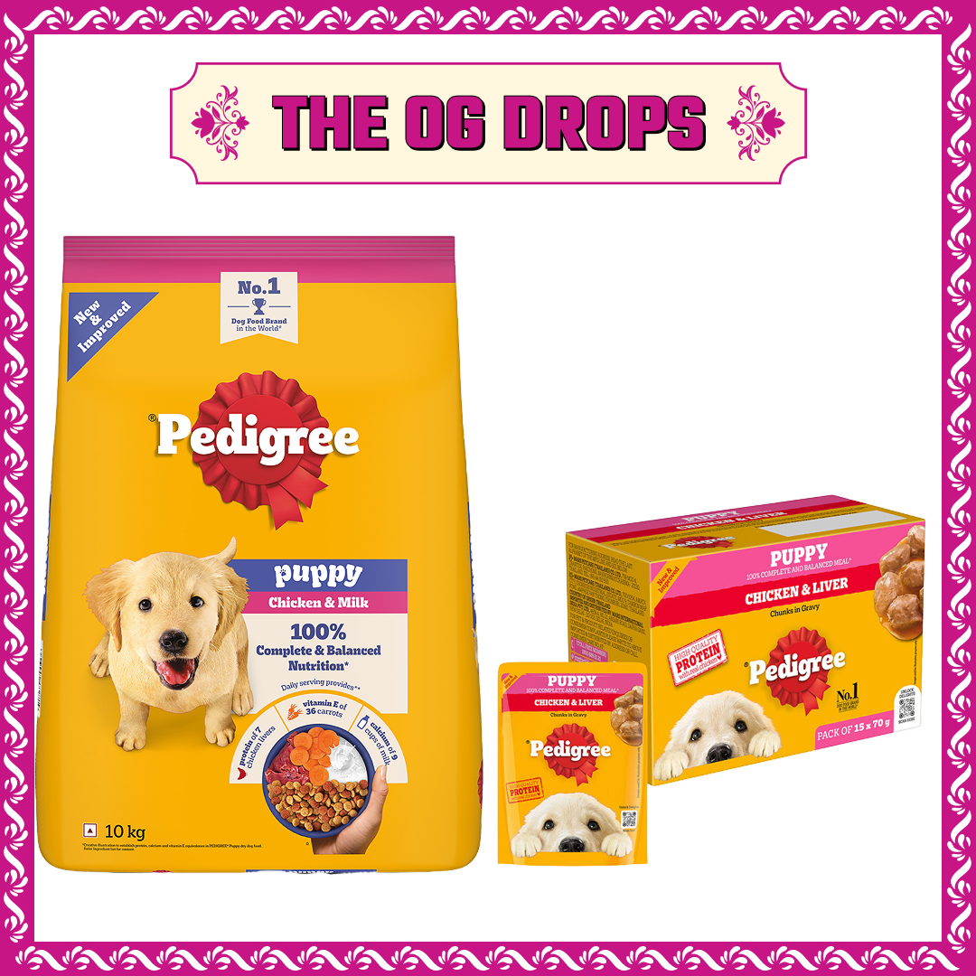 Pedigree Puppy Dog Food Combo |Chicken & Milk Dry & Chicken & Liver Wet image 2