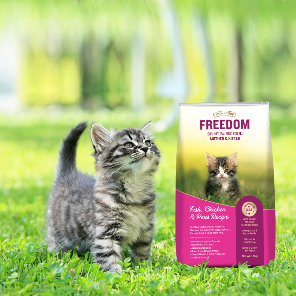 Signature Freedom Fish, Chicken and Peas Recipe Kitten Dry Cat Food image 6