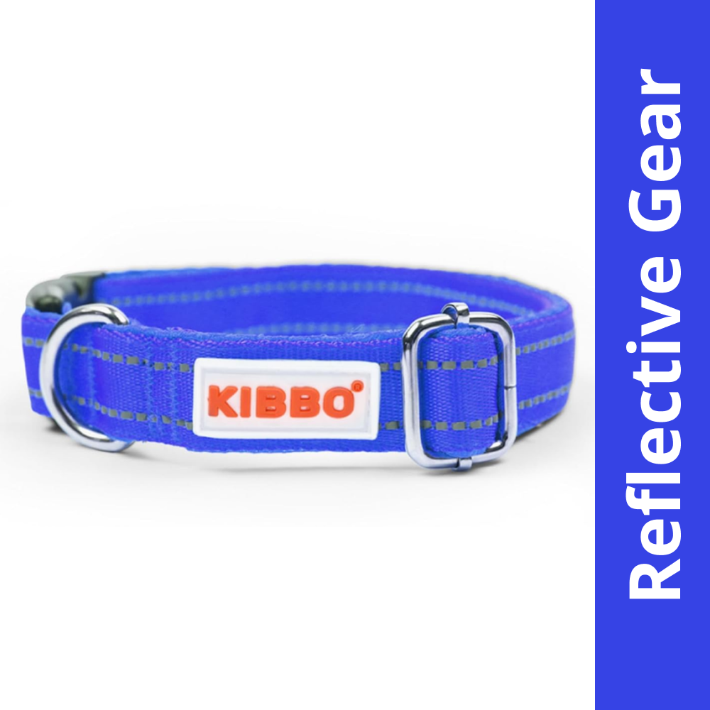 Kibbo Premium Reflective Padded With Soft Mesh Padding & Adjustable Design Collar for Dogs (Blue)