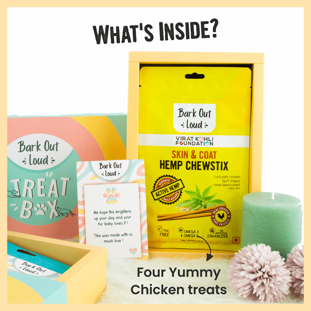 Bark Out Loud Treat Box for Dogs and Cats (Pack of 4) image 2