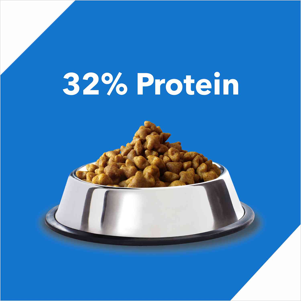 Drools Ocean Fish Adult Cat Dry Food (60g) image 2
