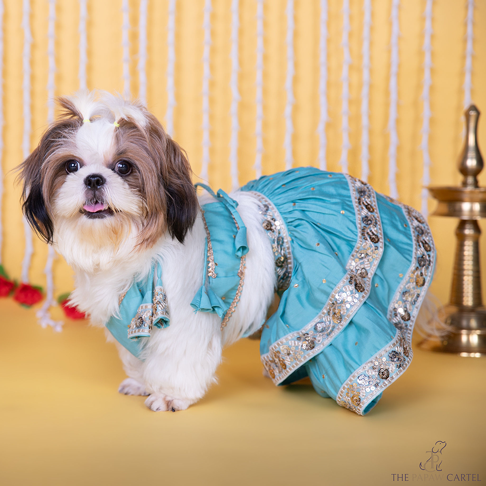 The Papaw Cartel Two Tiered Zardosi Lehenga With Stylish Choli for Dogs & Cats (Blue)