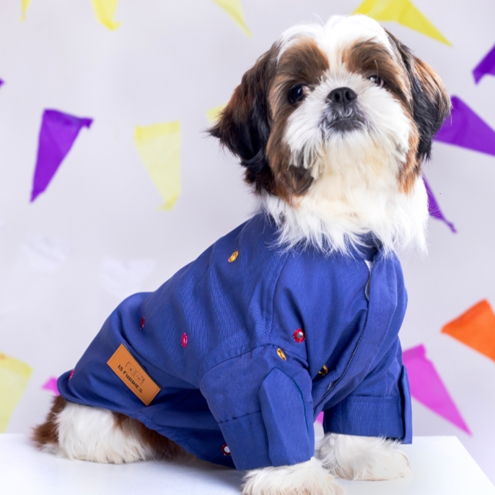 15 Furries Mirrorwork Kurta for Dogs (Persian Blue) image 1