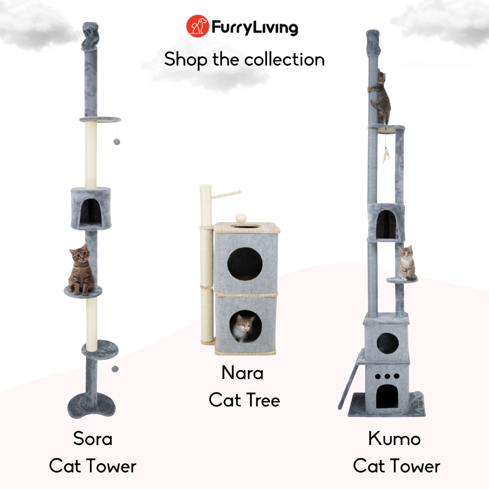 FurryLiving Sora Adjustable Floor to Ceiling with Scratching Posts, Condo and Hanging Toy Cat Tree image 7