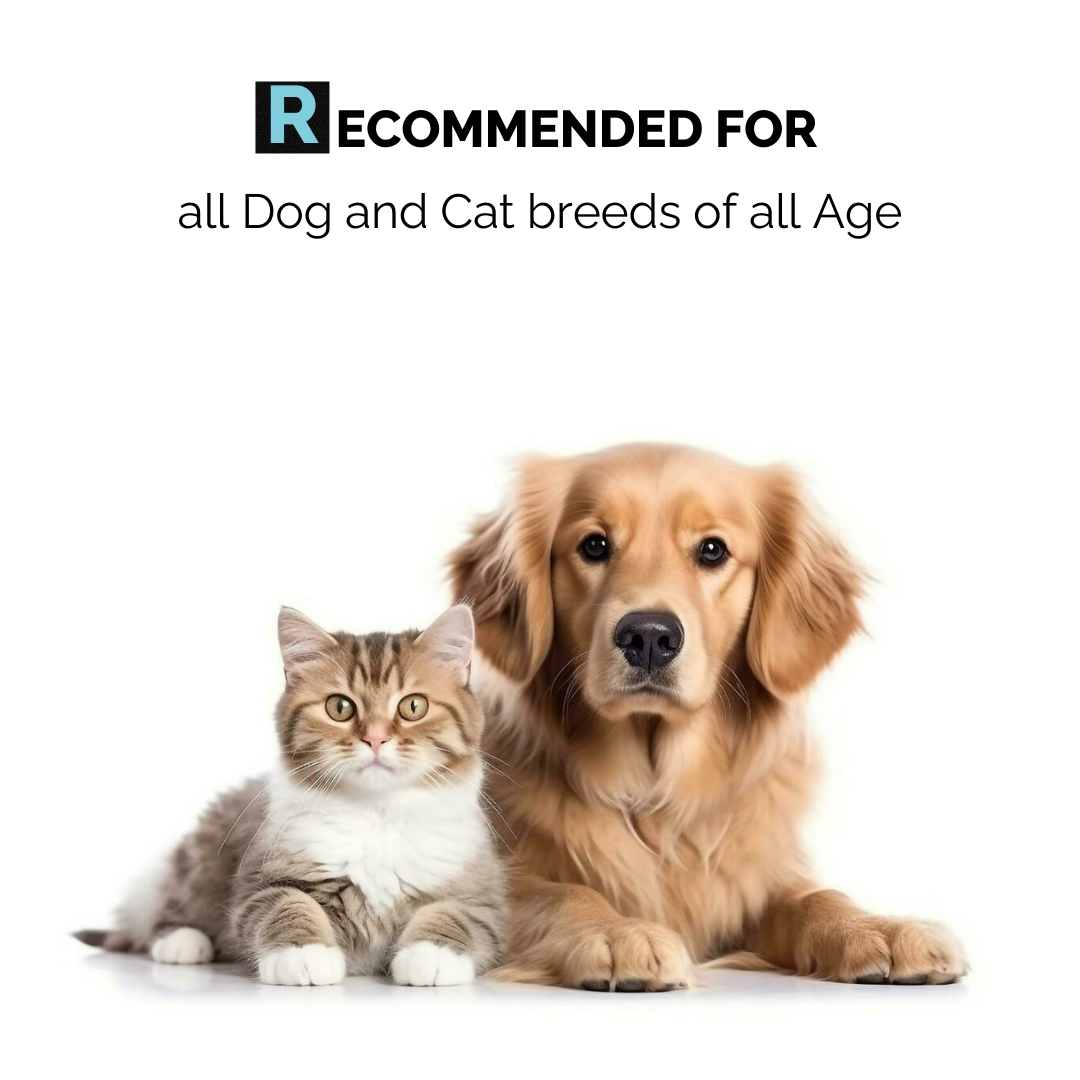 Moe Puppy Thyme Grapeseed Dental Spray for Dogs & Cats image 7