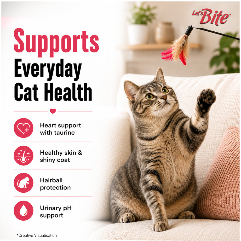 Let's Bite Active Adult Ocean Fish Dry Cat Food image 6
