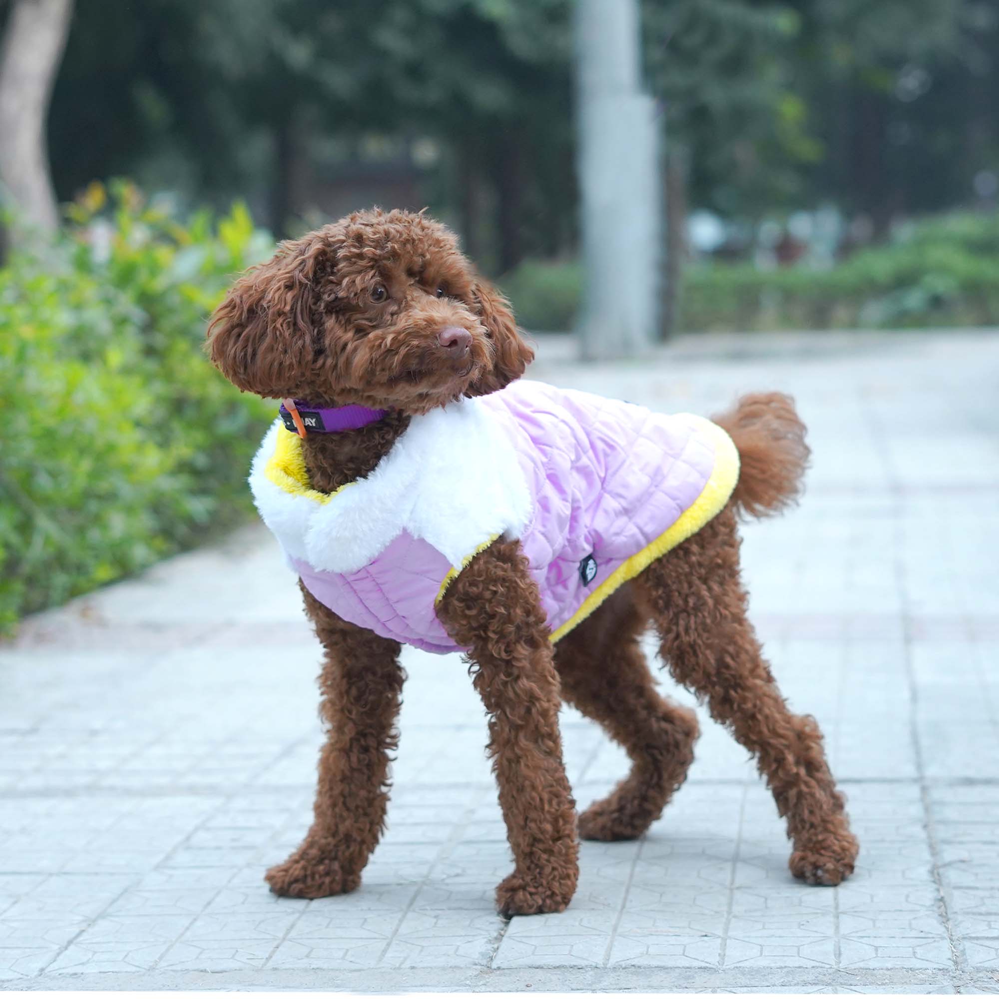 Pets Way Reversible Cozy Quilt Fur Winter Jacket for Dogs (Lavender) image 1
