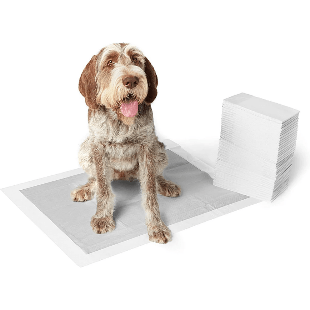 M Pets Carbon Training Dog Pads (60x60cm) image 3