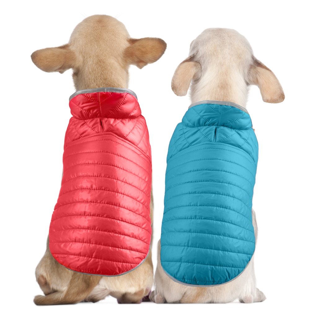 Talking Dog Club Double Trouble Reversible Jackets for Dogs (Red/Blue) image 5