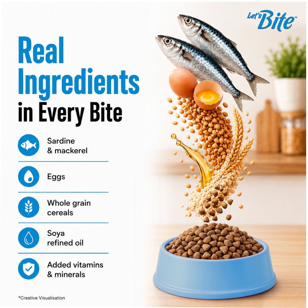 Let's Bite Active Persian Ocean Fish Cat Dry Food image 4