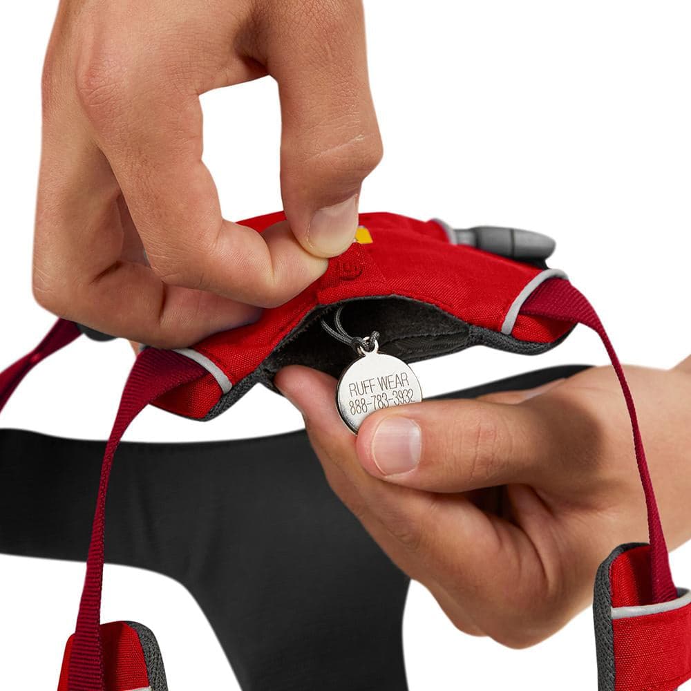 Ruffwear Front Range Harness for Dogs (Red Sumac) image 9