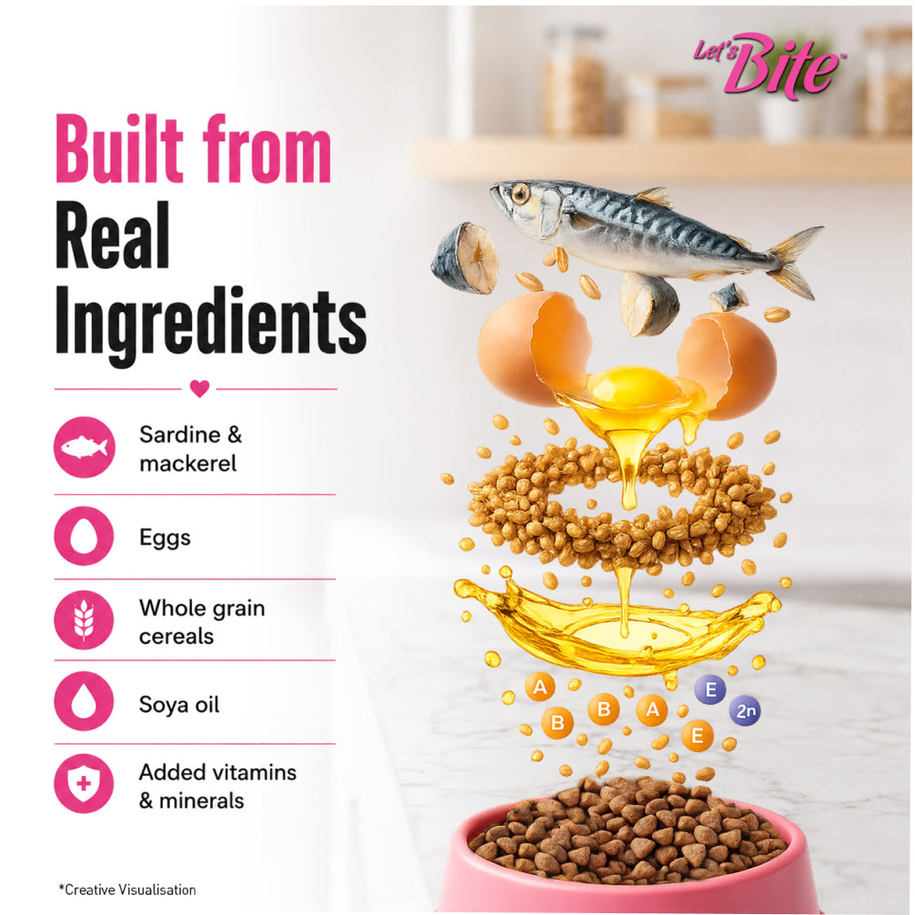 Let's Bite Active Kitten Ocean Fish Cat Dry Food (Buy 1 Get 1 Free) image 5