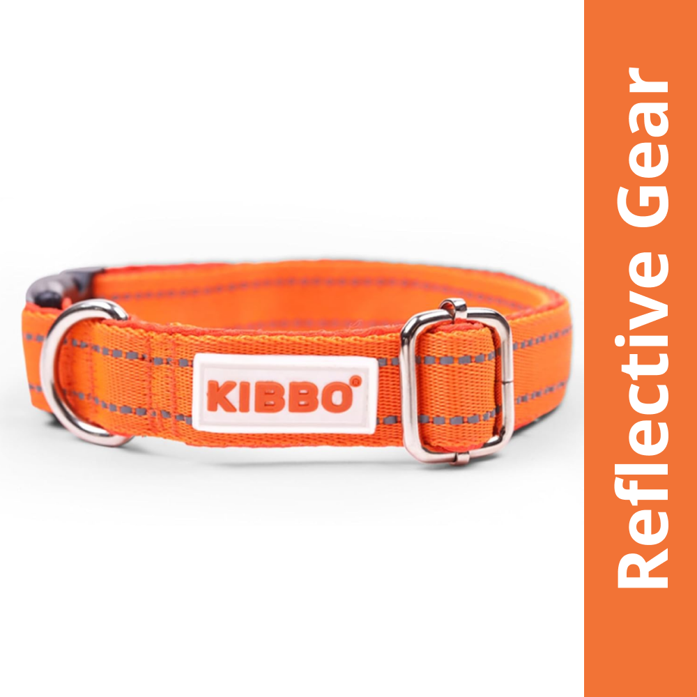 Kibbo Premium Reflective Padded With Soft Mesh Padding & Adjustable Design Collar for Dogs (Orange)