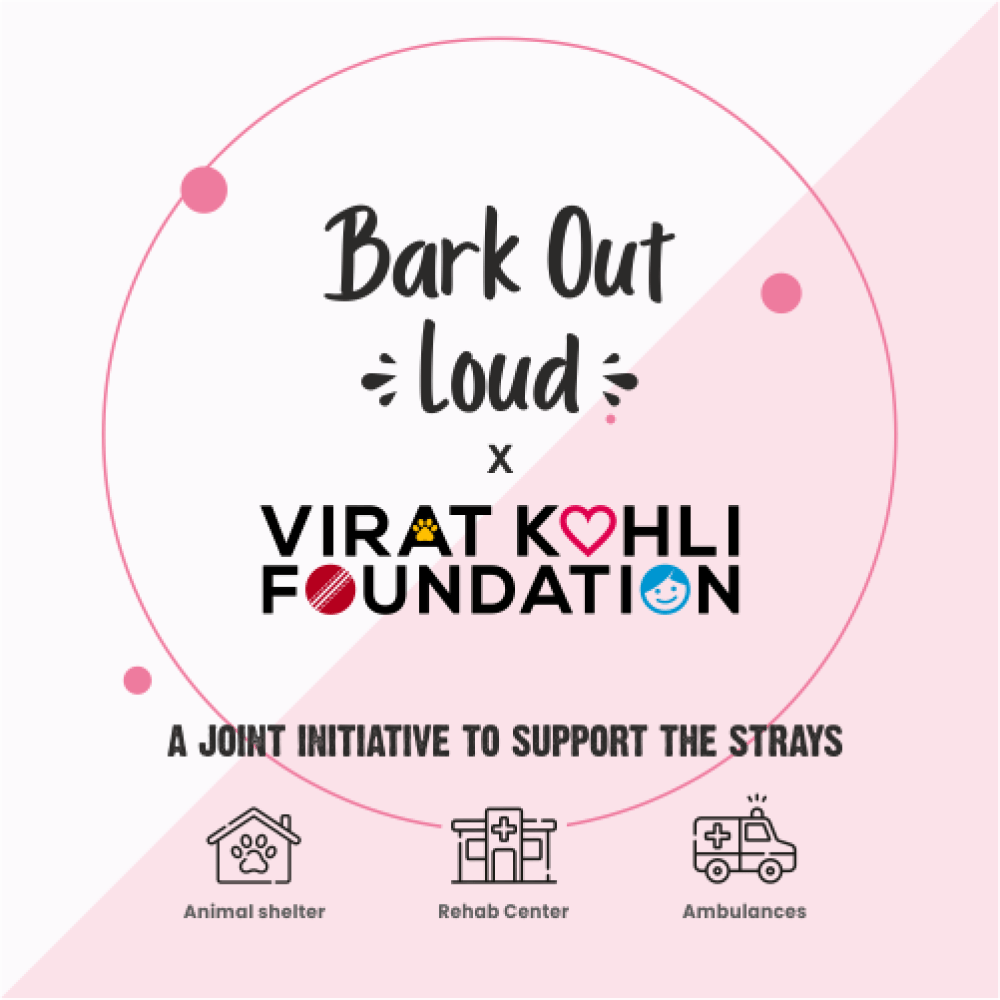 Bark Out Loud by Vivaldis Pillows for Sensitive Gut & Hairball Control Cat Treats Combo image 8