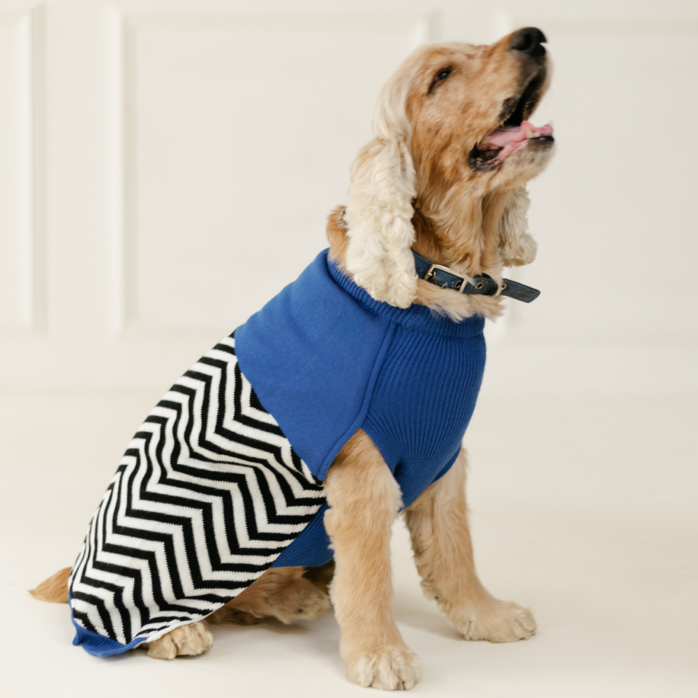 Pet Set Go Raisin’s Sweater for Dogs and Cats (Blue & Black) image 5