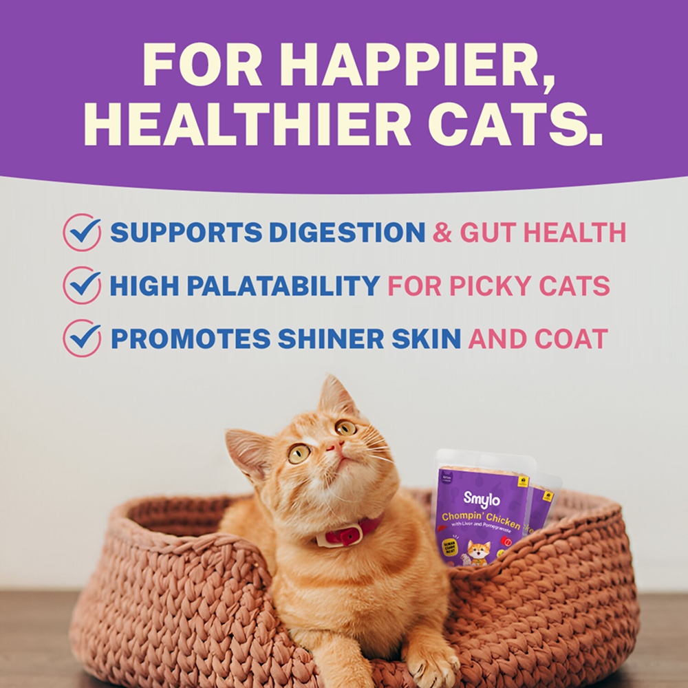 Smylo Kitten Chicken & Liver, Pomegranate, Fresh & No-Preservative Wet Cat Food image 5