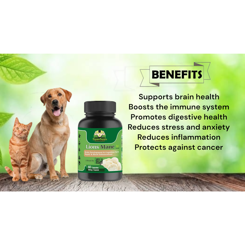Cure By Design Lion Mane Mushroom Capsules for Dogs and Cats image 2