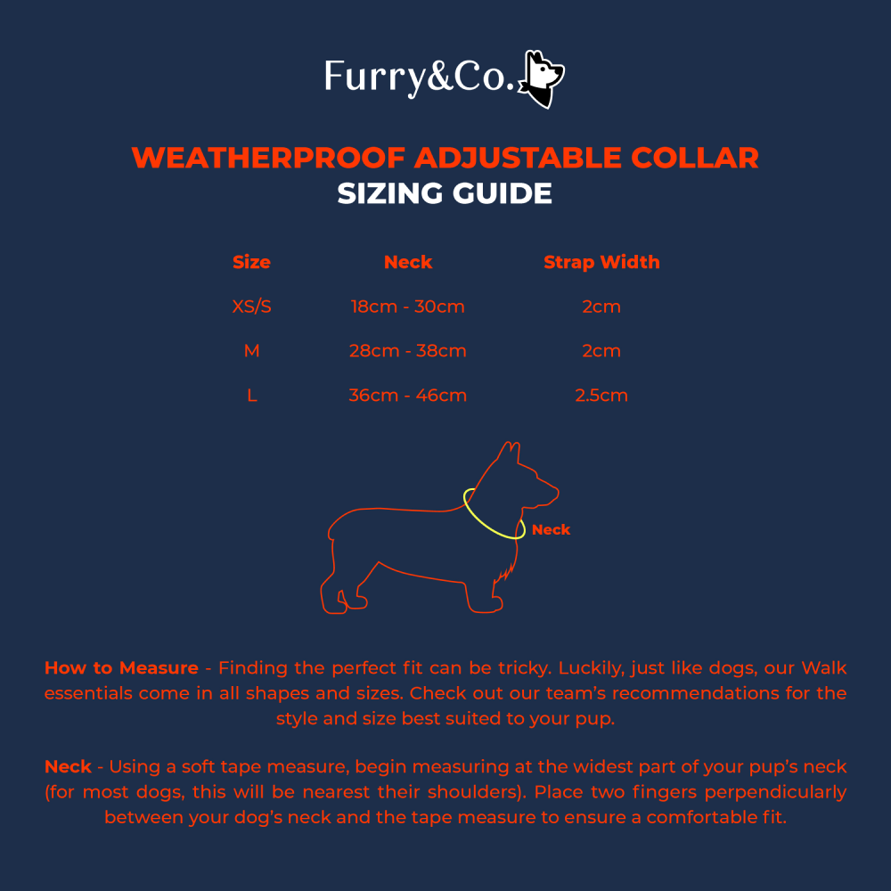 Furry & Co Weatherproof Collar for Dogs (Everest Blue) image 5