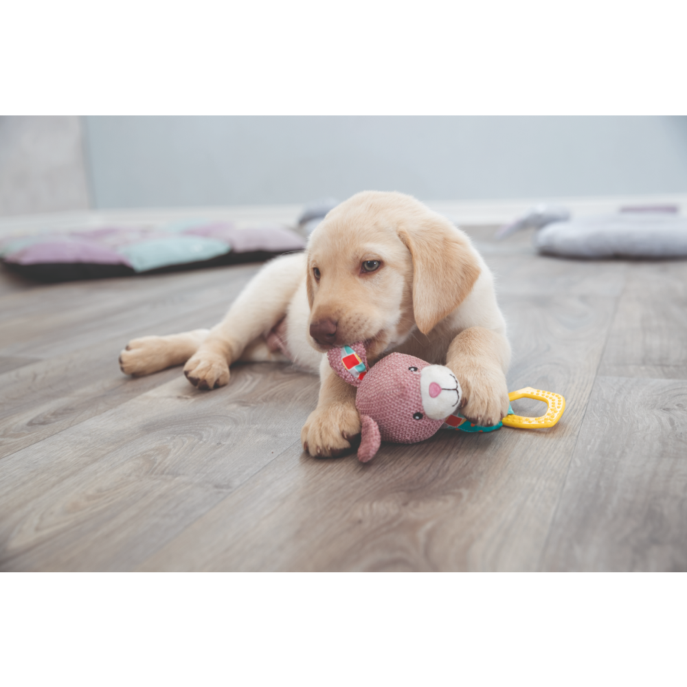 Trixie Junior Bunny Toy for Dogs image 4