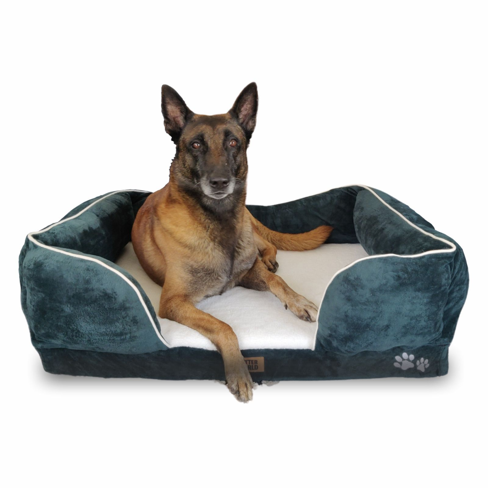Petter World Convoluted & HD Foam Base with Bolster Orthopedic Sofa Bed for Dogs and Cats (Bottle Green) image 1