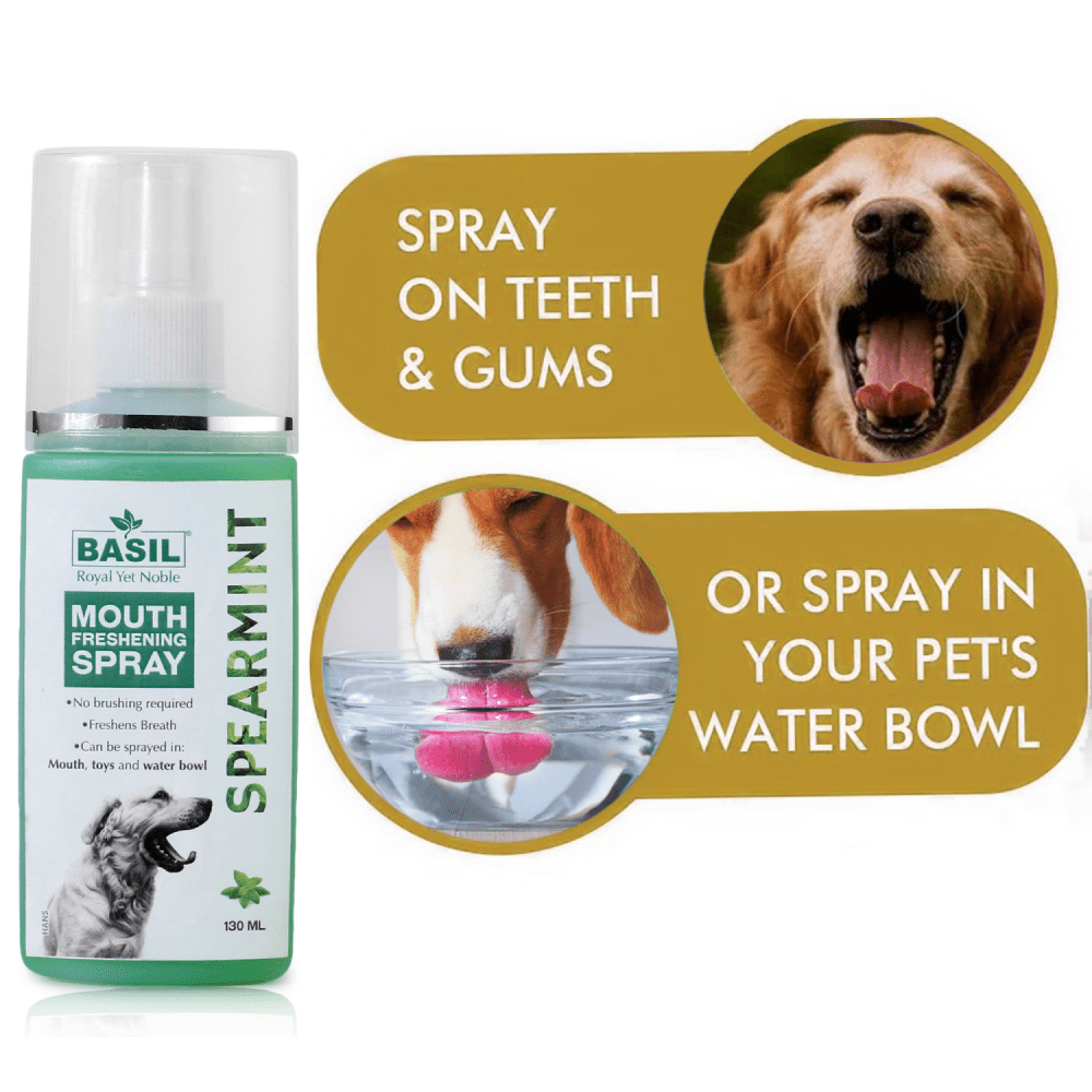 Basil Spearmint Mouth Spray for Dogs image 4