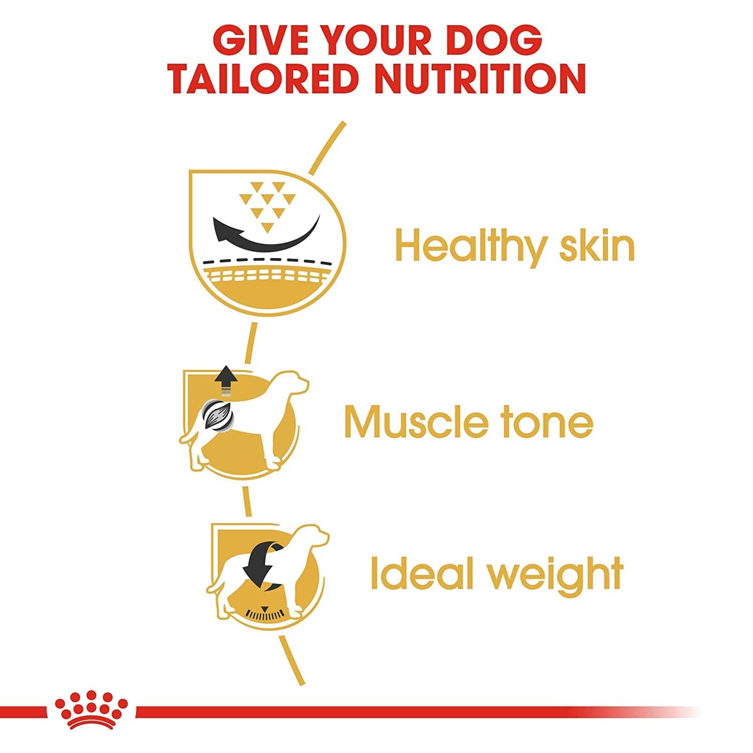 Royal Canin Pug Adult Dog Dry Food image 5