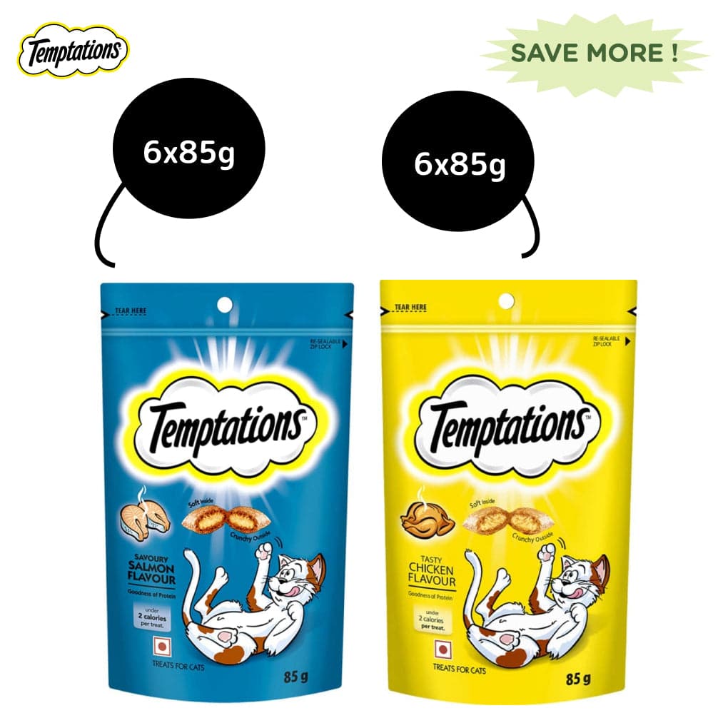 Temptations Tasty Chicken and Savoury Salmon Flavour Cat Treats Combo image 10
