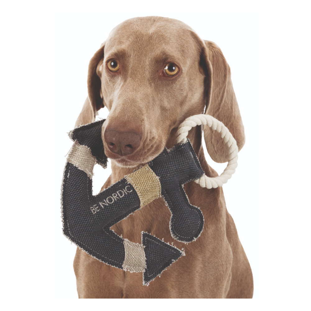 Trixie Be Nordic Anchor Toy for Dogs image 3