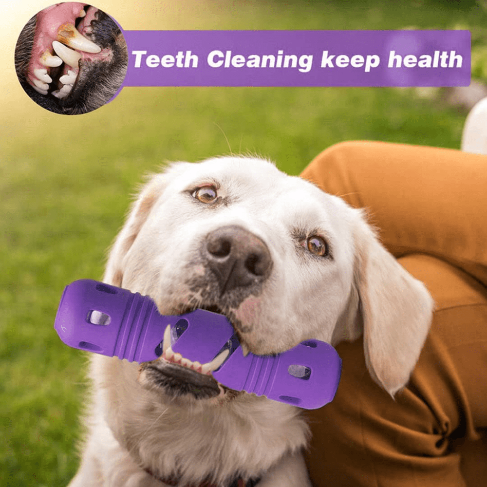 Pawsindia Rubber Bottle Chew Toy for Dogs (Purple) image 7