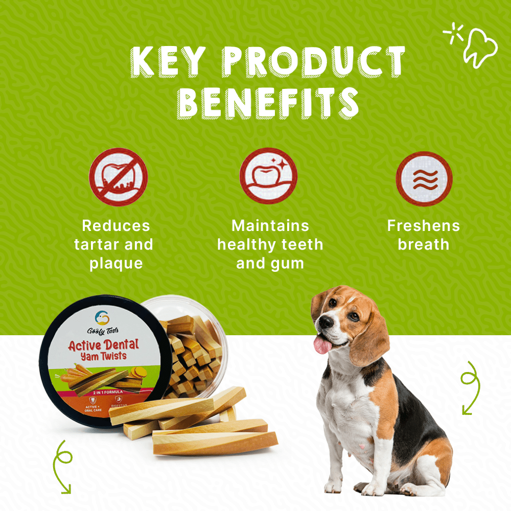 Goofy Tails Carrot and Yam Active Dental Twists Dog Treats image 2