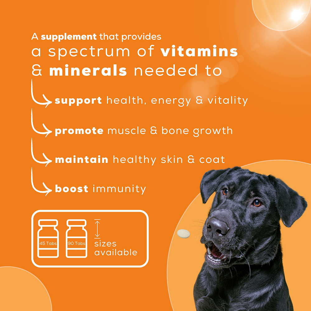 Venttura Nutri Plus Pro Multi Vitamin Chewable Tablets for Dogs image 2