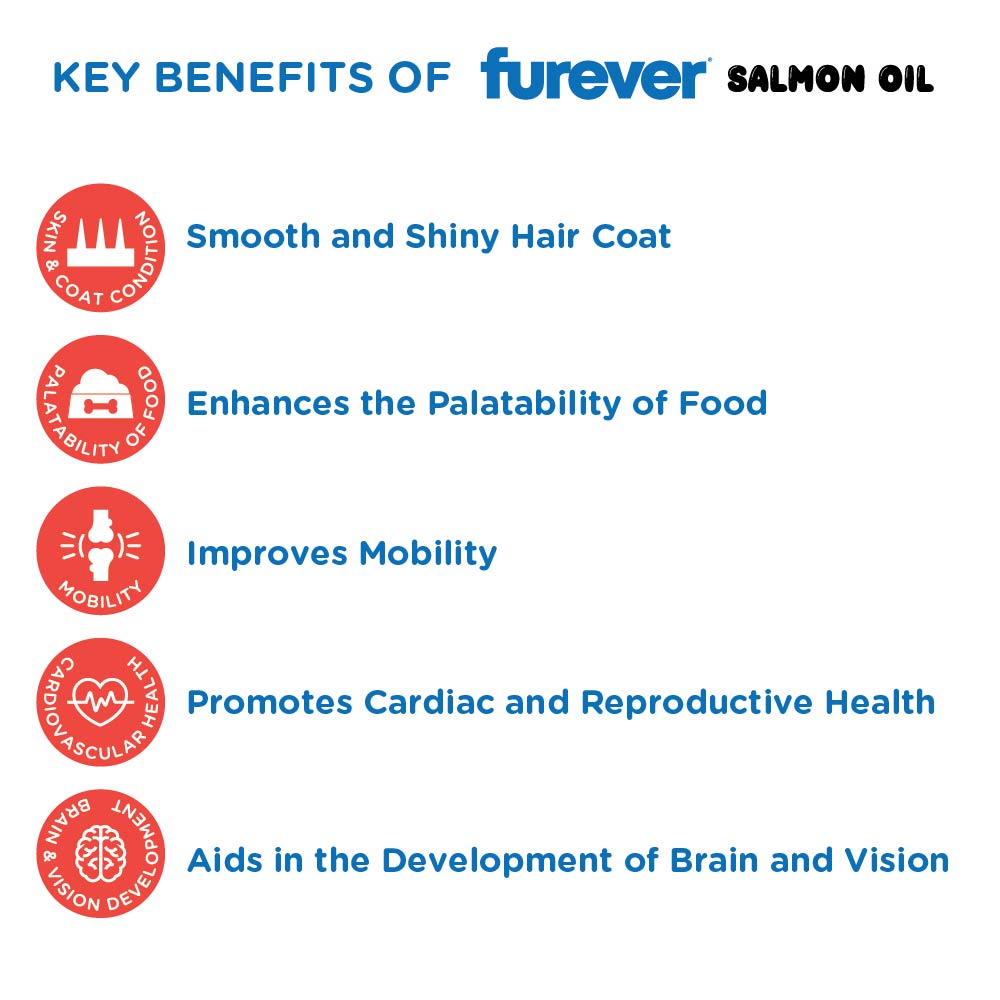 Pawsome Companion Furever Salmon Oil for Dogs & Cats 500ml image 6